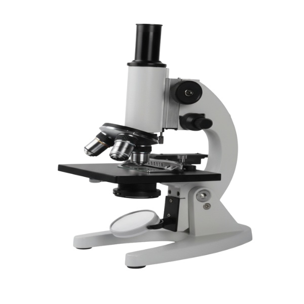 Microscope